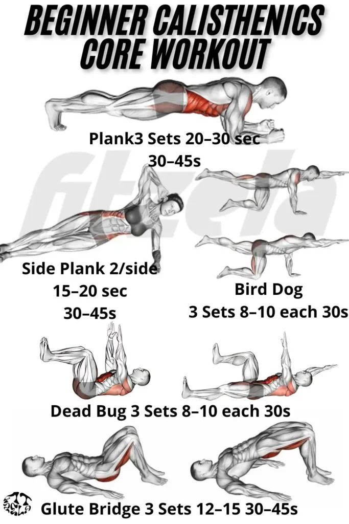 calisthenics core workout