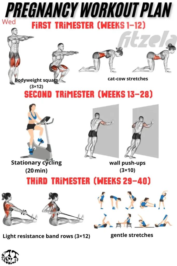 pregnancy workout plan