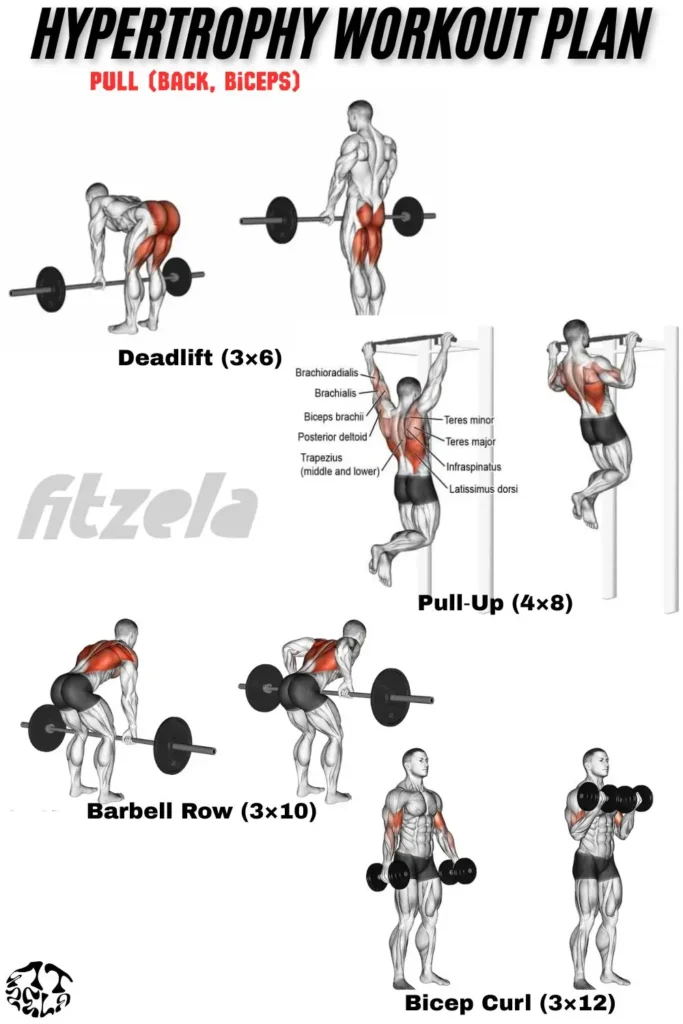 hypertrophy workout plan