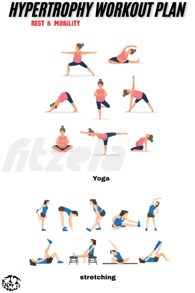 hypertrophy workout plan