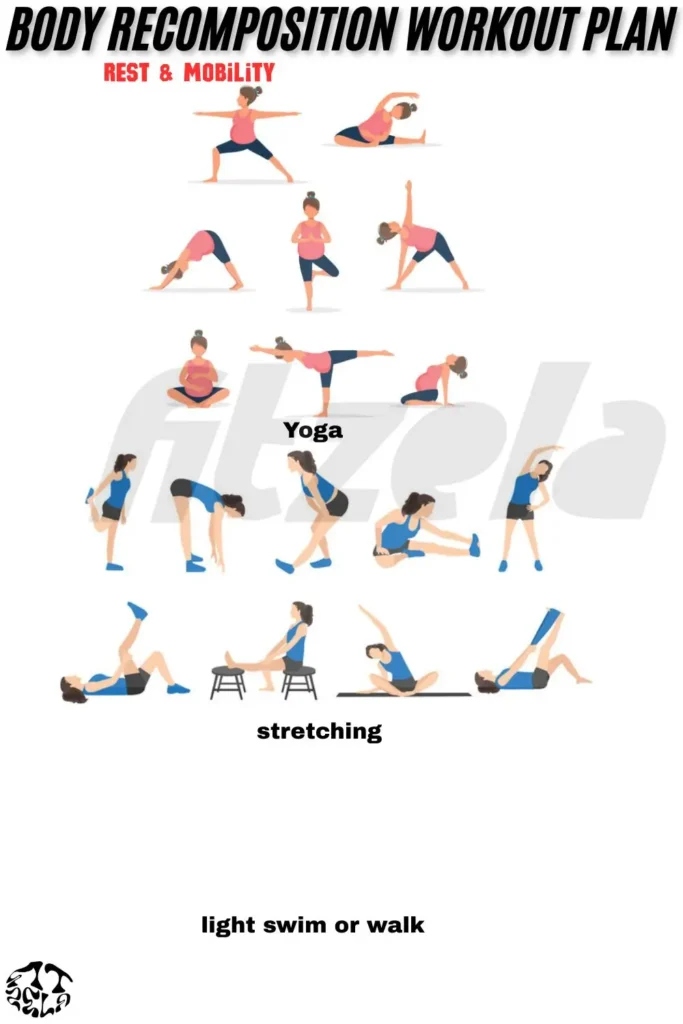body recomposition workout plan