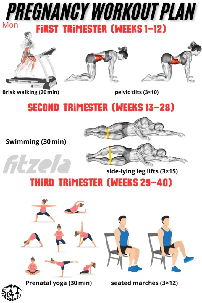 pregnancy workout plan