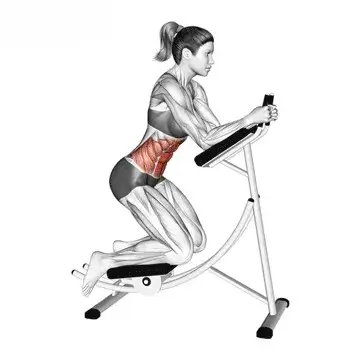 ab workout machines