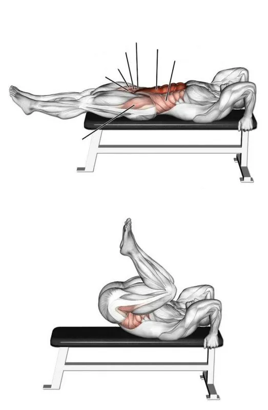 bench ab workout