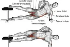 bench ab workout