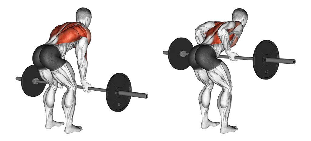 4 day workout plan