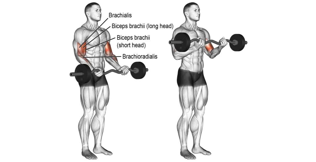 4 day workout plan