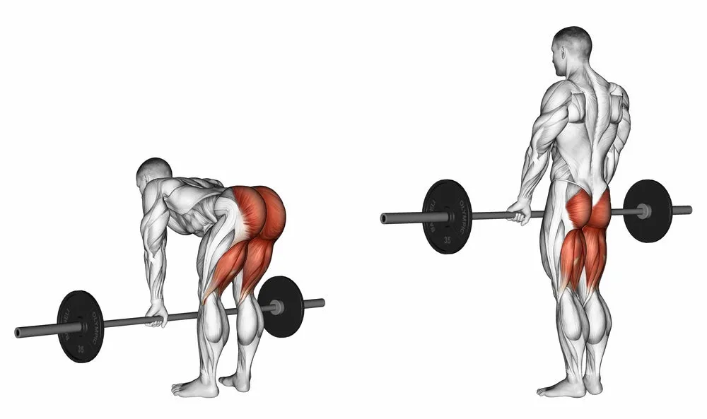 4 day workout plan