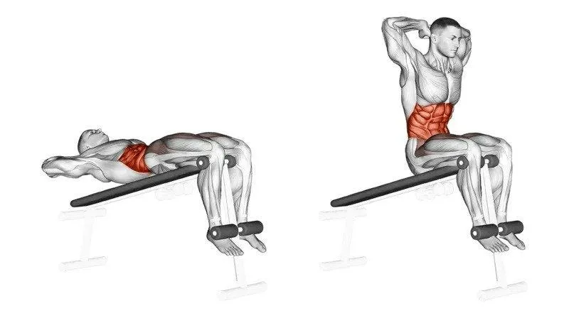 ab workout bench