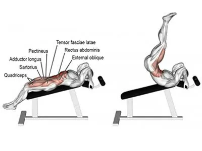 ab workout bench