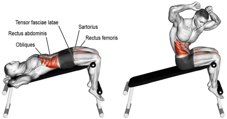 ab workout bench