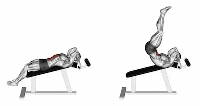 ab workout bench