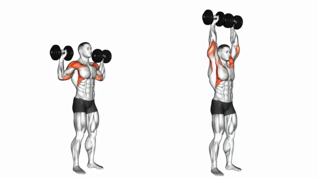 4 day workout plan