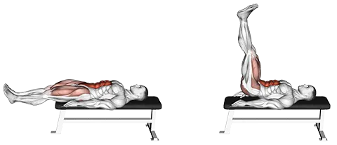 ab workout bench
