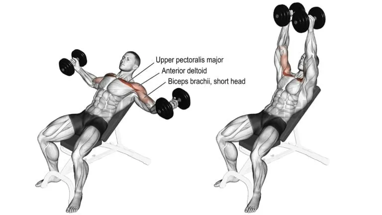 4 day workout plan