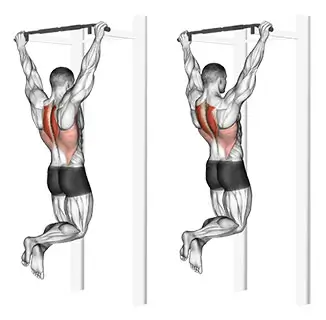 full body gymnastics workout