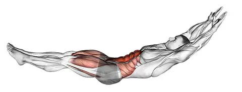full body gymnastics workout