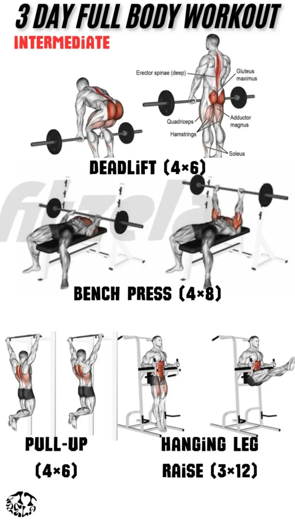 3 day full body workout