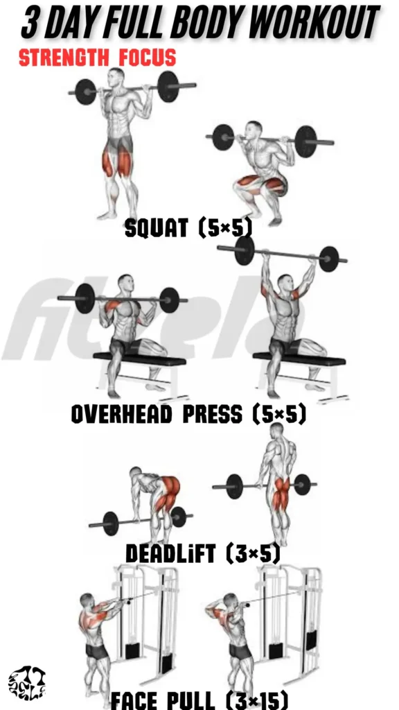 3 day full body workout