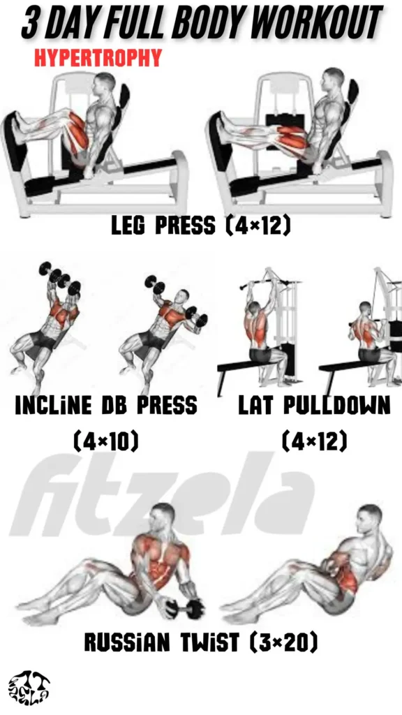 3 day full body workout
