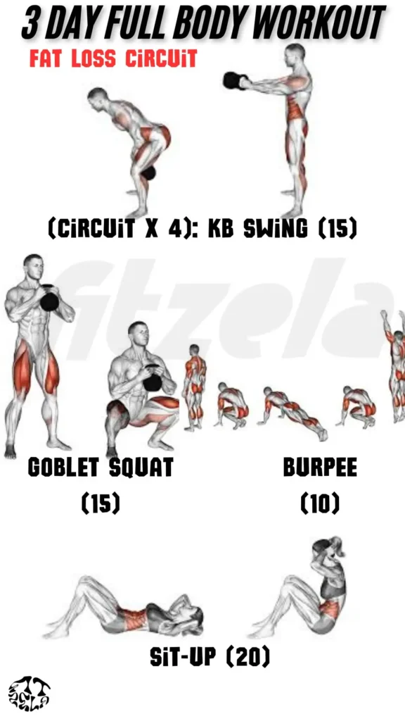 3 day full body workout