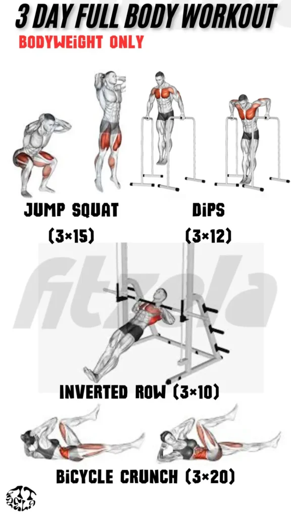 3 day full body workout