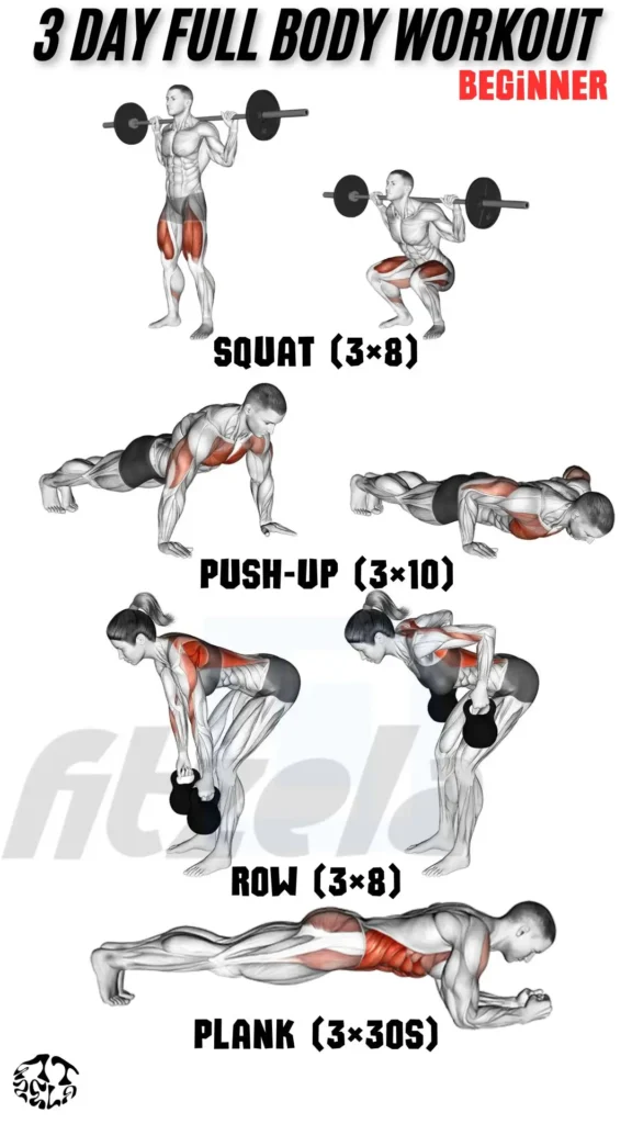 3 day full body workout