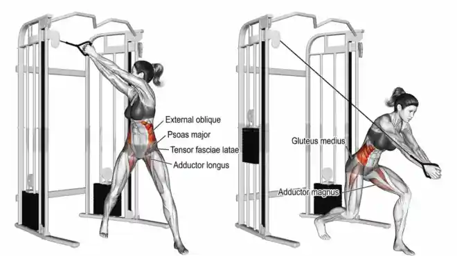 medicine ball ab workout