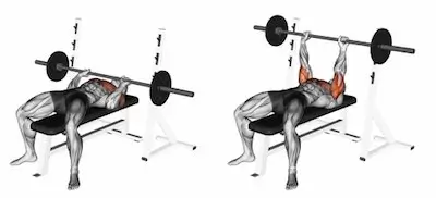 3 day full body workout