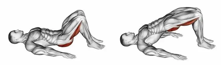 full body gymnastics workout