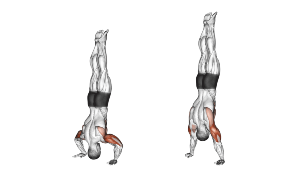 full body gymnastics workout