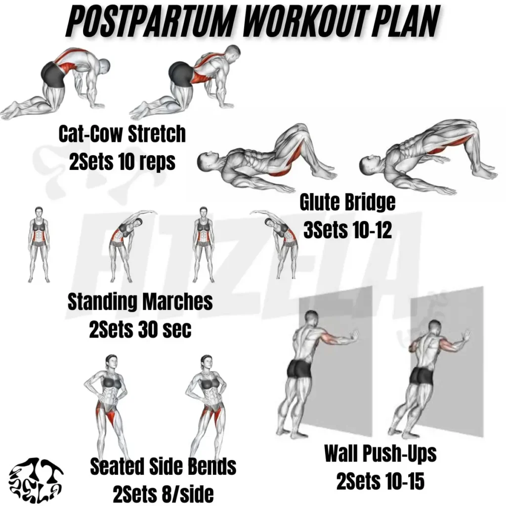 postpartum workout plan