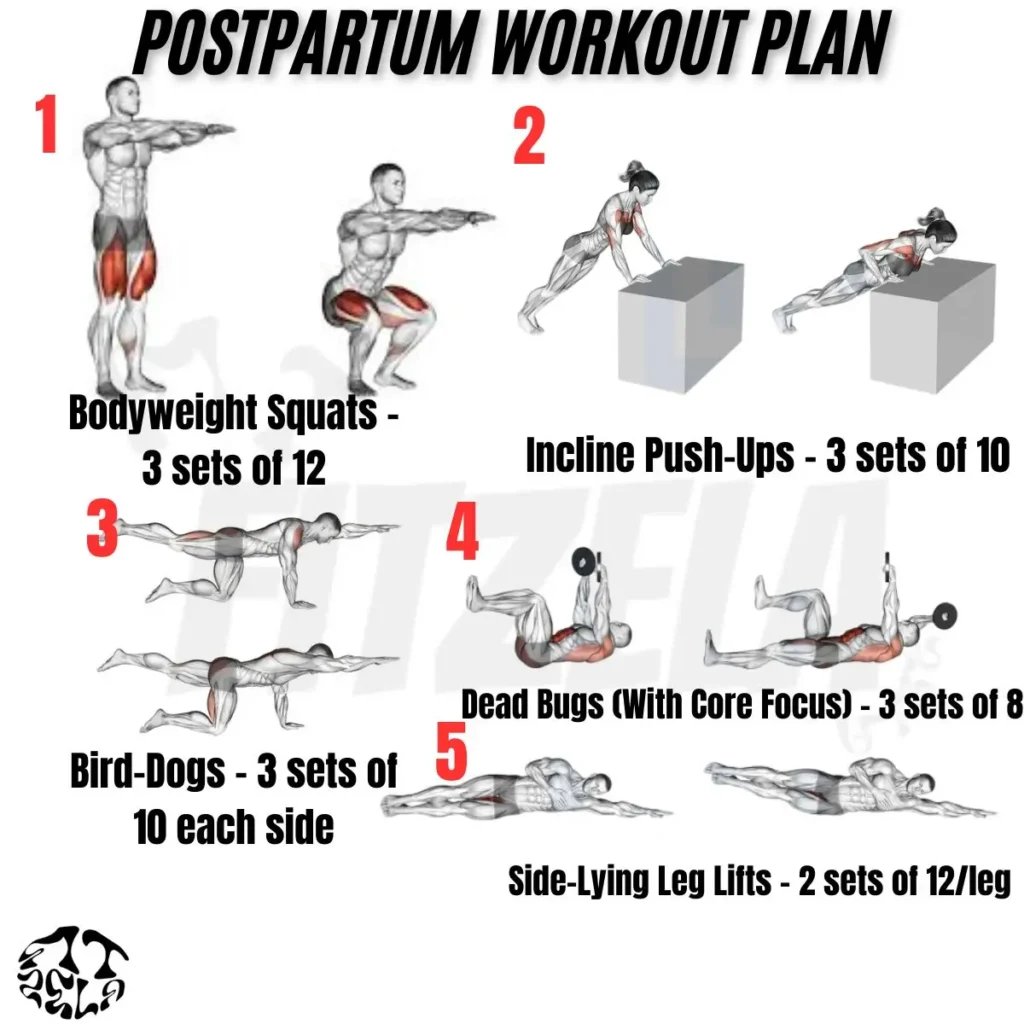 postpartum workout plan