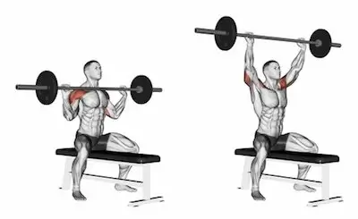 3 day full body workout