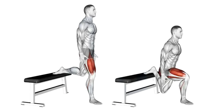 calisthenics leg workouts