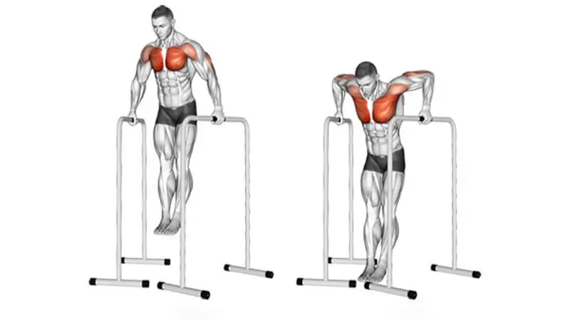 full body gymnastics workout