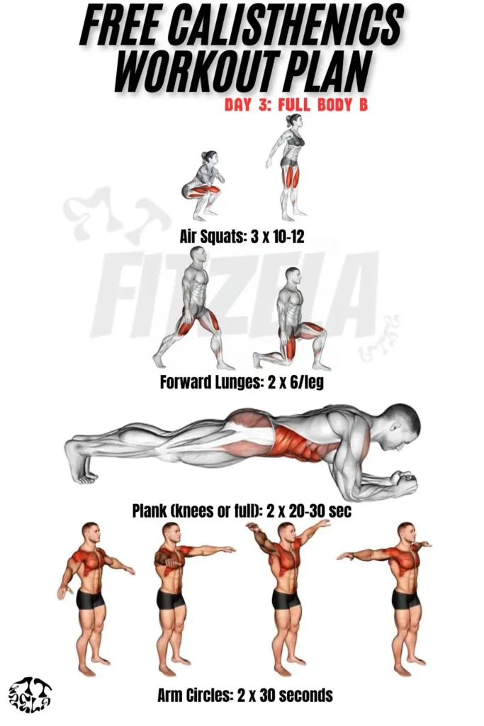 free calisthenics workout plan
