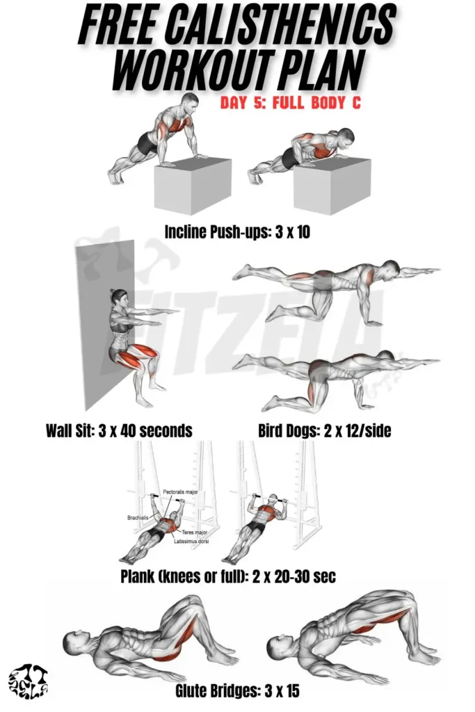 free calisthenics workout plan
