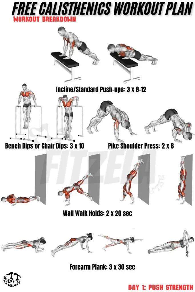 free calisthenics workout plan