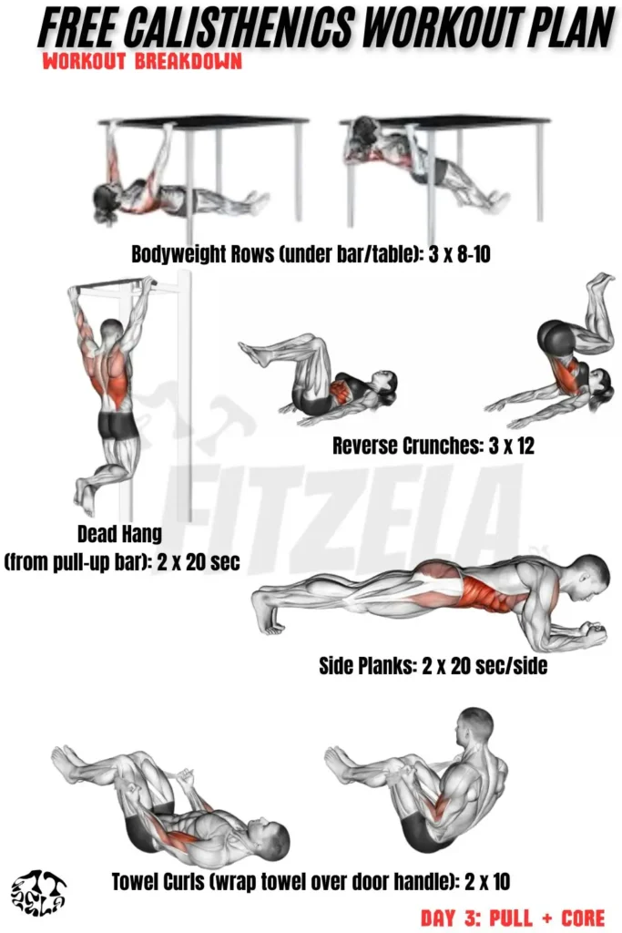 free calisthenics workout plan
