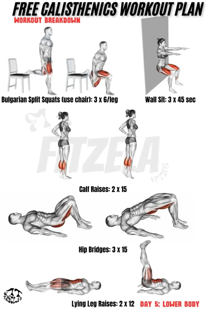 free calisthenics workout plan