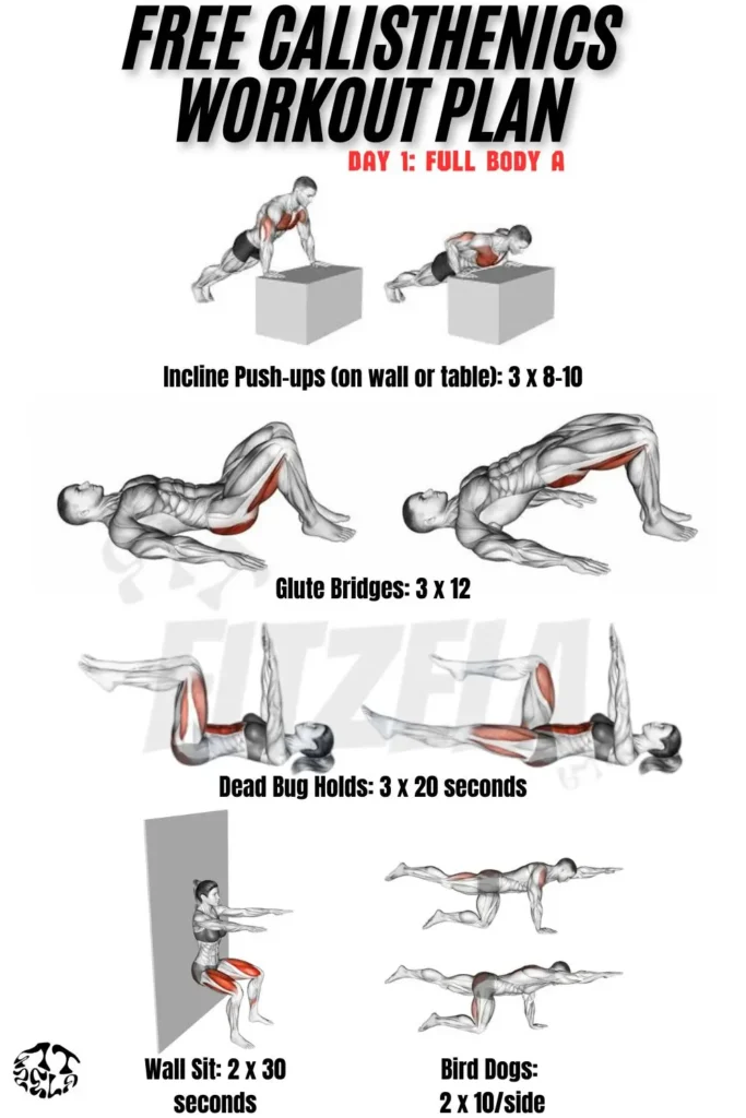 free calisthenics workout plan