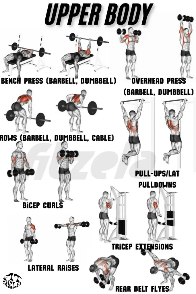 full body workout gym female