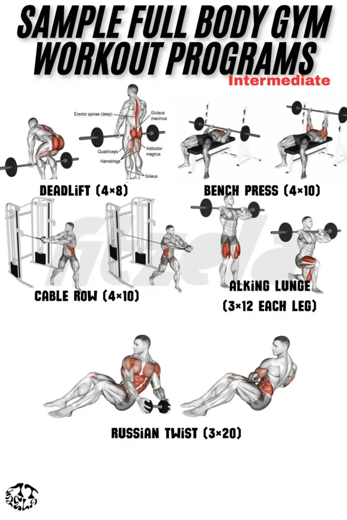 full body workout gym female
