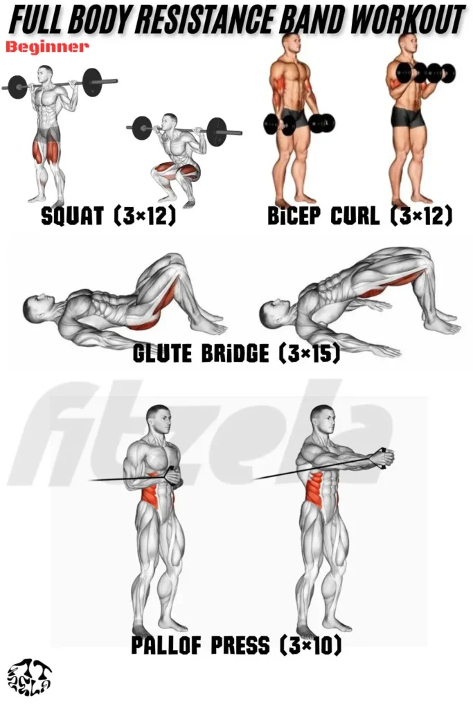 full body resistance band workout