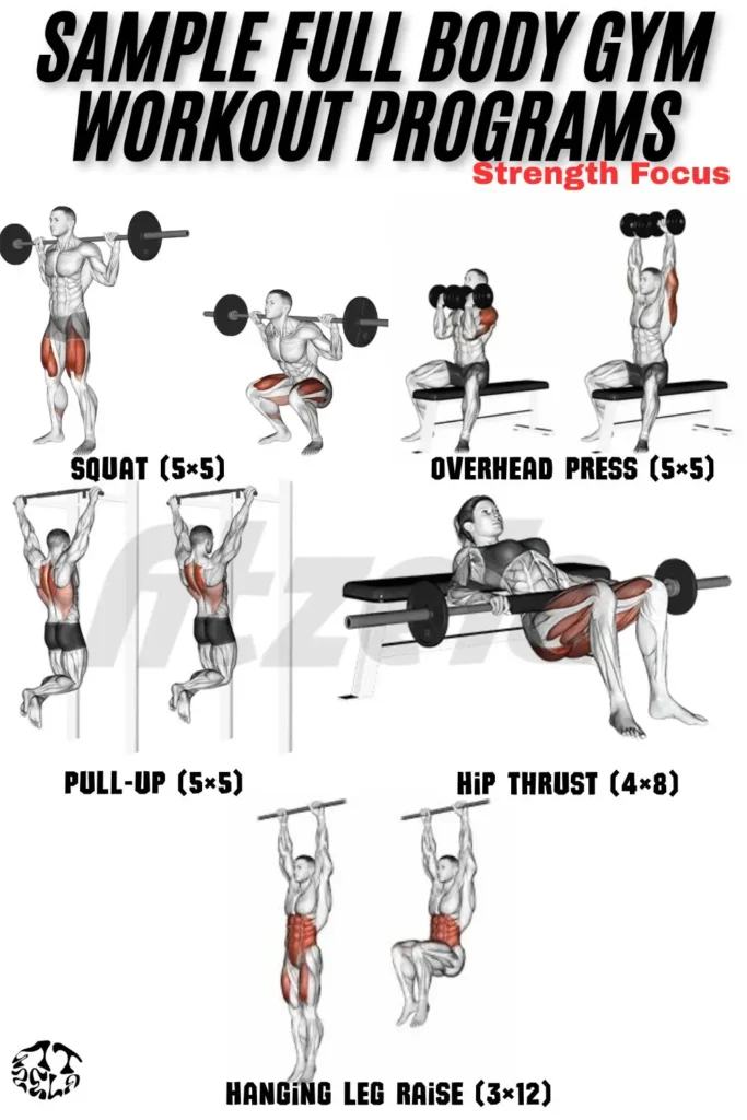 full body workout gym female