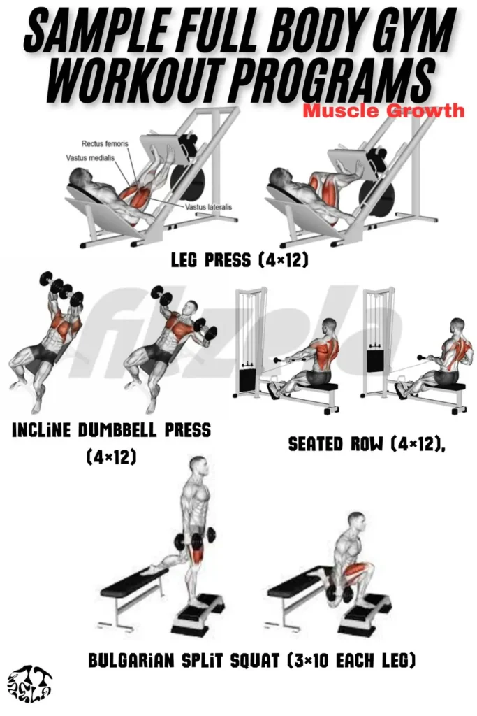 full body workout gym female
