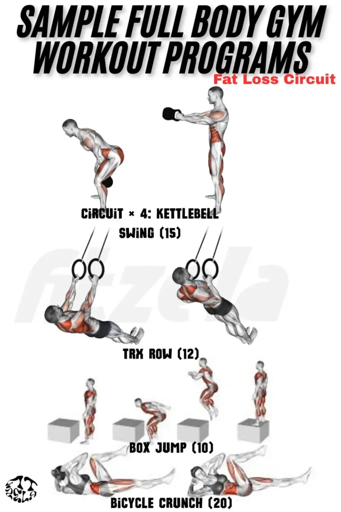 full body workout gym female