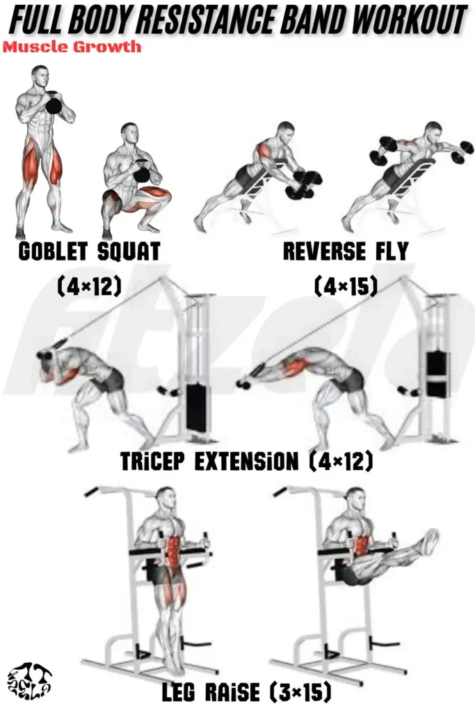 full body resistance band workout