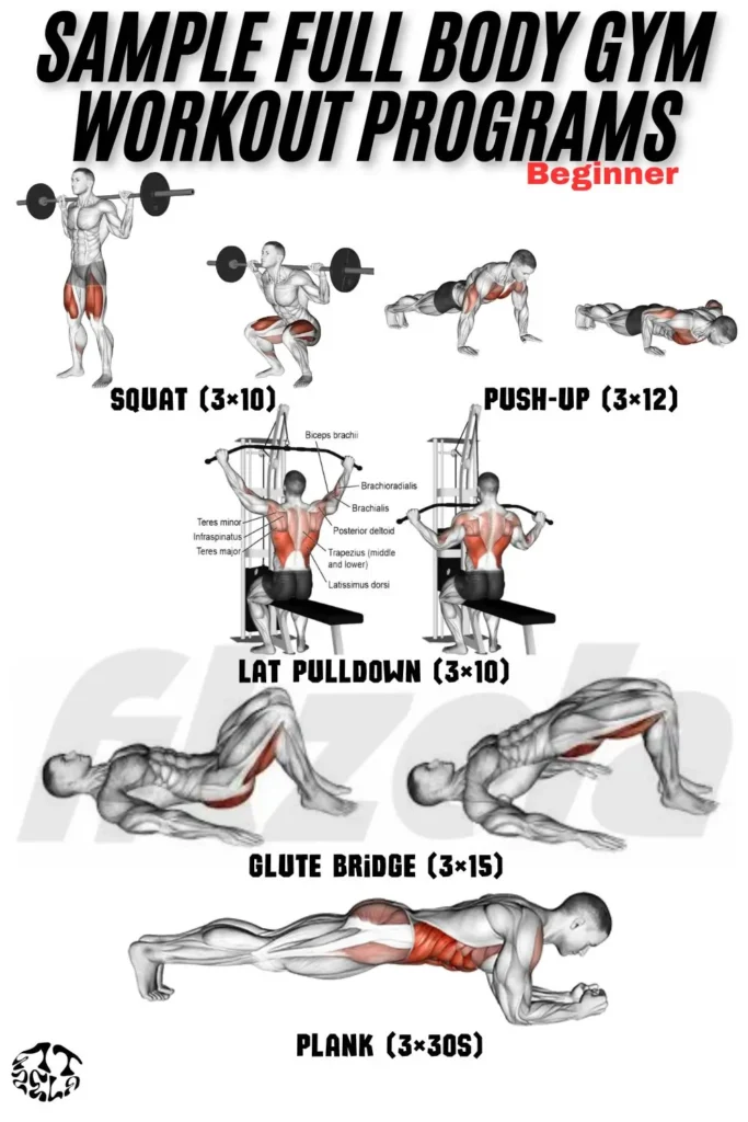 full body workout gym female